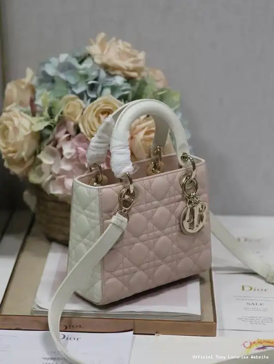 Tony Luxuries LADY DI0R-20CM 0419